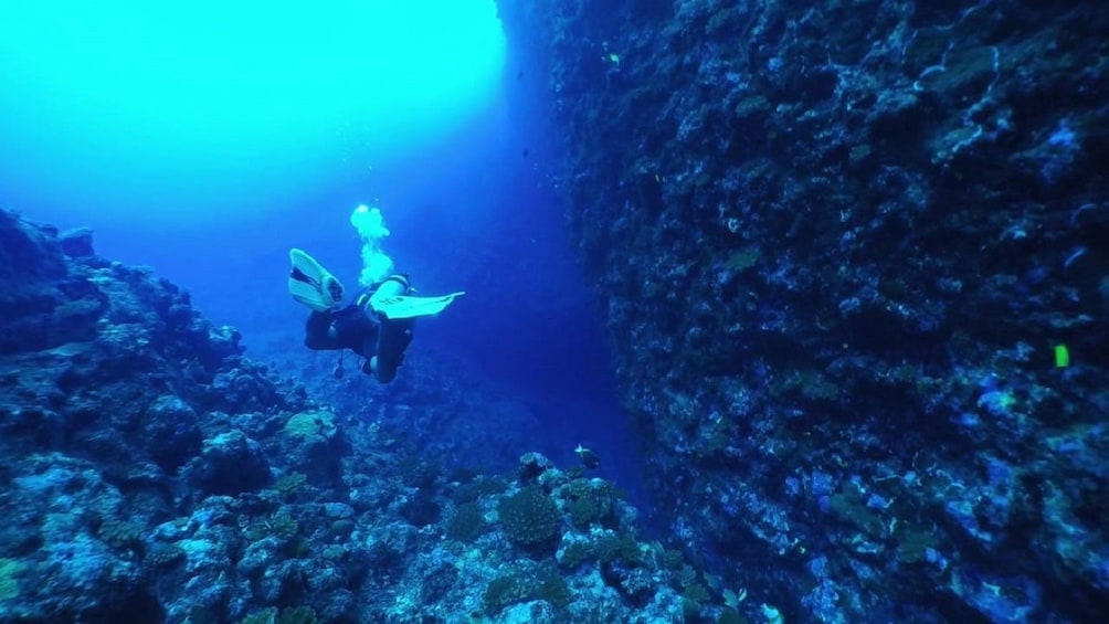 Show item 3 of 6. Saipan Grotto Cave Snorkeling and North Tour