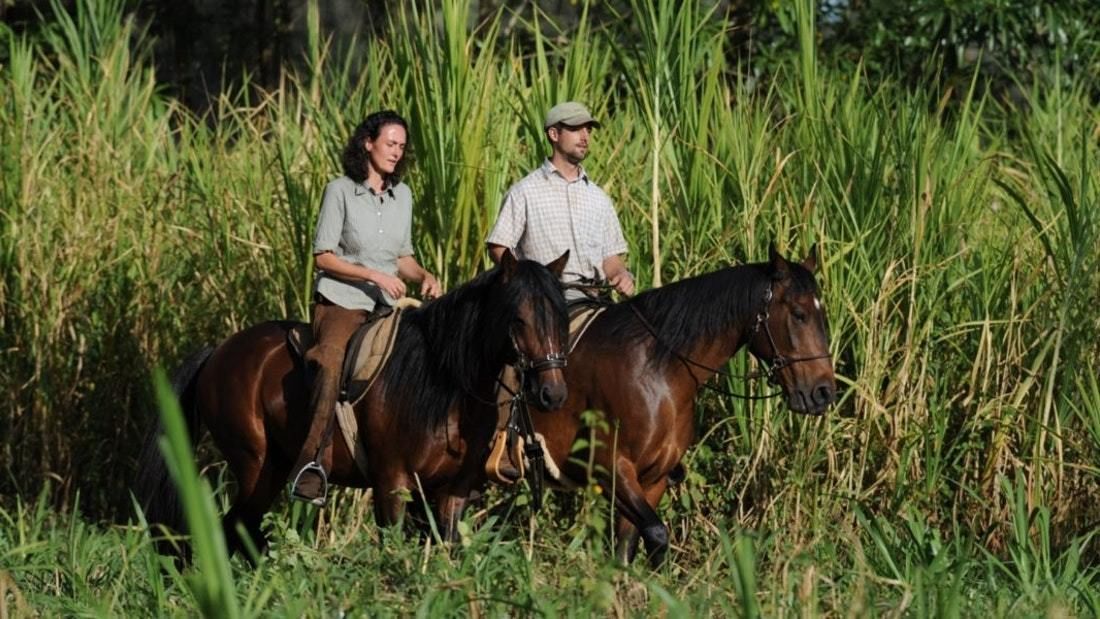 Makoa Farm Day Tour