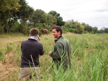 6 päivän luksus Krugerin kansallispuiston safari