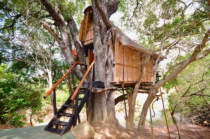 Safari de 4 días por el Parque Nacional Kruger en un albergue y una casa en...