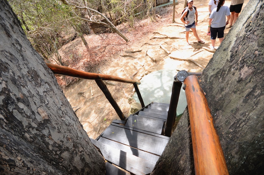 4 Day Lodge and Treehouse Kruger National Park Safari