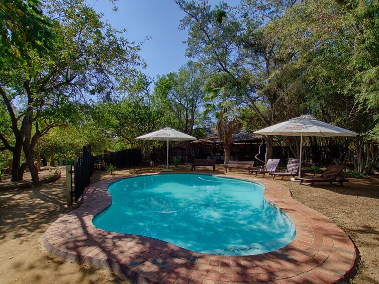 4 Day Lodge and Treehouse Kruger National Park Safari