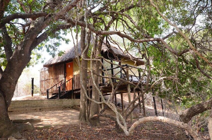 5 Day Lodge and Treehouse Kruger National Park Safari