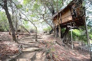 6 Days Lodge and Treehouse Kruger National Park Safari