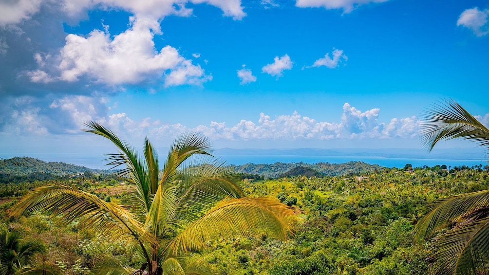 Extreme Ziplines from Samana