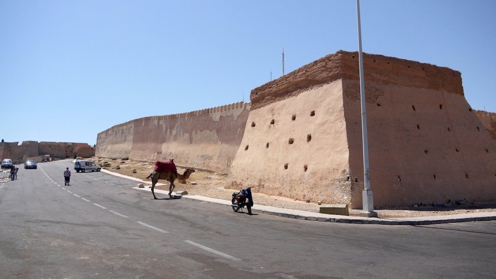 Agadir Discovery Half Day City Tour