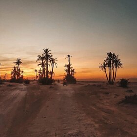 Marrakech Palmeraie: kameliratsastus auringonlaskun aikaan