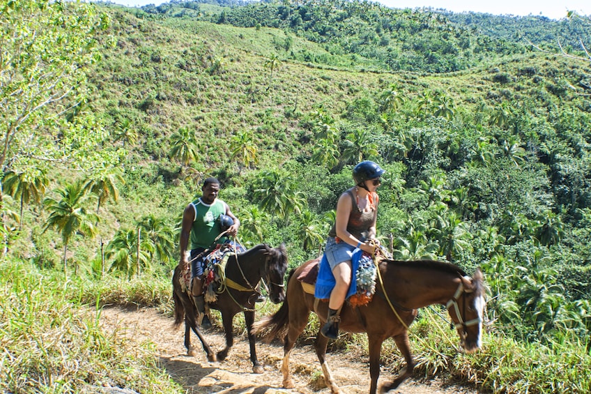 Half-Day El Limon Waterfall Tour from Samana