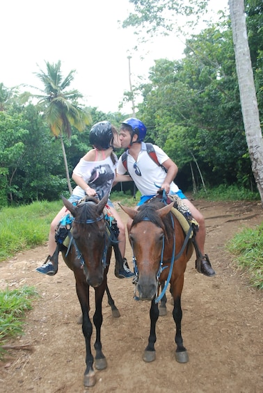 Half-Day El Limon Waterfall Tour from Samana