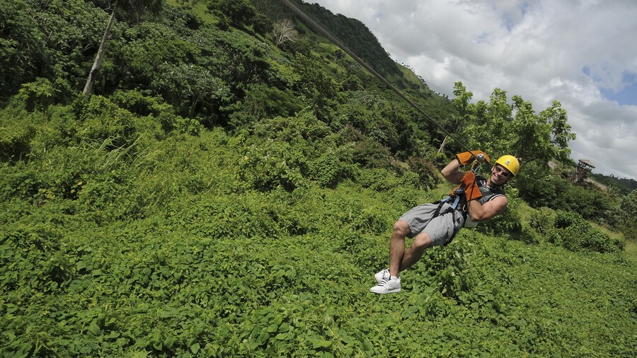 Full-Day Adventure from Samana: El Limon Waterfall & Zipline