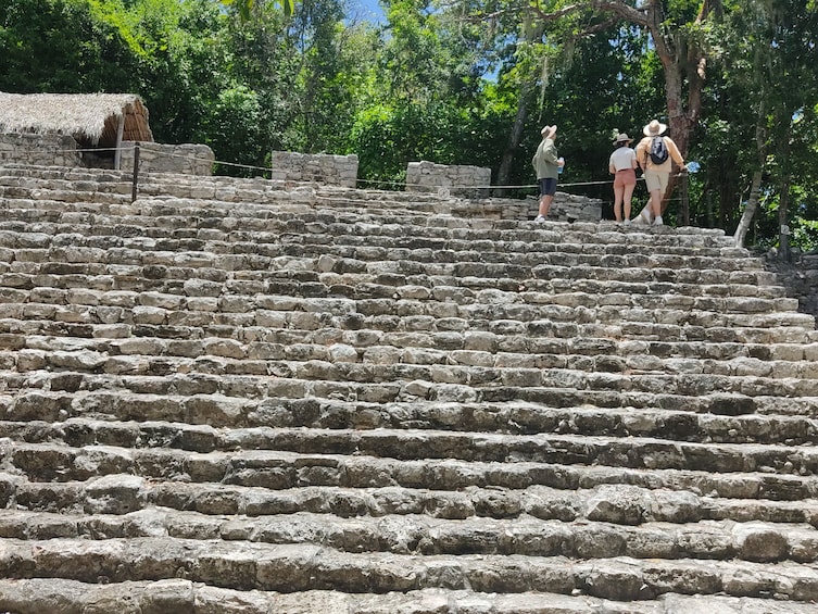 Cultural 4x1 Tulum, Coba, Mayan Village, 5th Avenue & Cenote Tankach-Ha