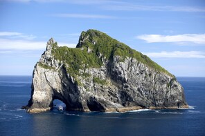 Dolphin Cruise to the Hole in the Rock with Island Stopover