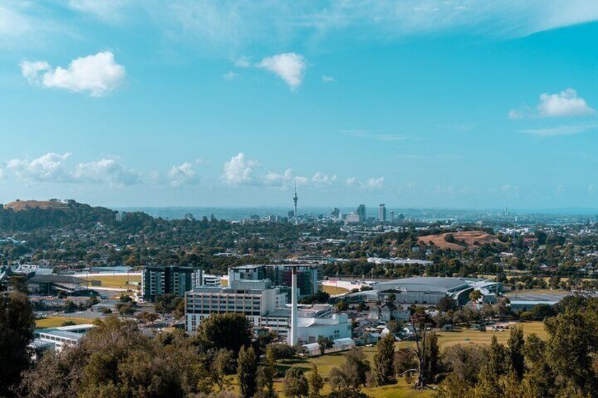 Auckland Welcome Tour: Private Tour with a Local