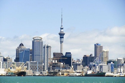 Auckland Welcome Tour: Private Tour with a Local