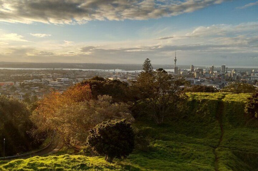 Auckland Welcome Tour: Private Tour with a Local