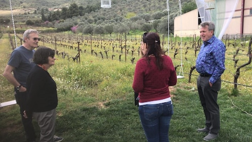 Excursión privada de un día al Canal de Corinto Tour de vino y cerámica