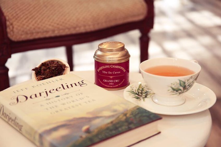 Tea Tasting Session at India's oldest tea boutique : Sancha Tea Boutique