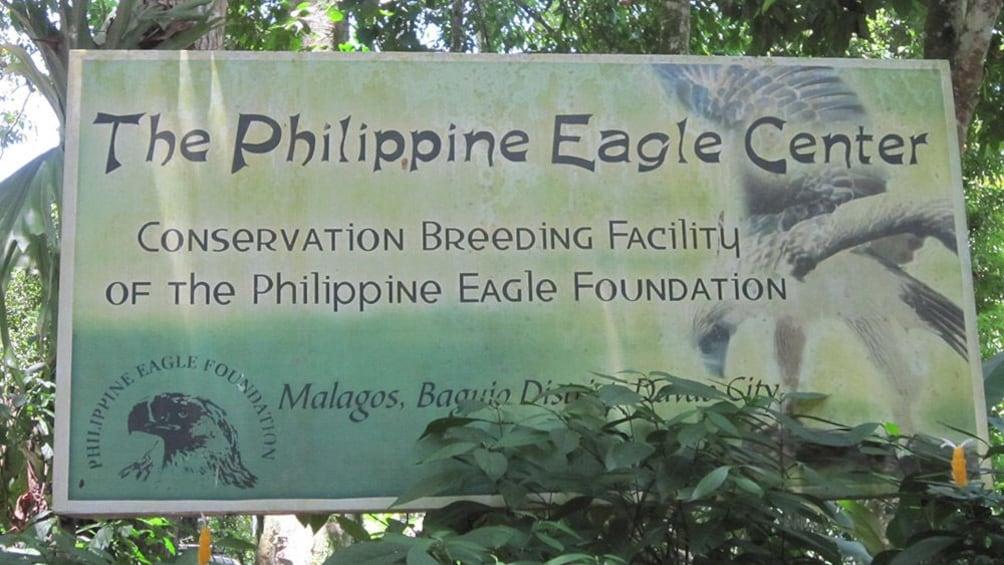 Davao Philippine Eagle Center and Malagos Garden Resort Tour