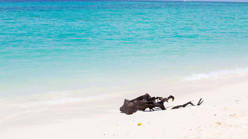 Show item 4 of 10. Bamboo Island One Day Tour from Krabi