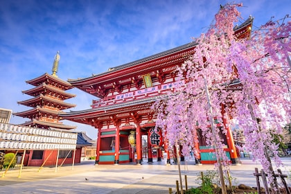 Enjoy 1-Day Bus Tour Around Best Tourist Spots in Tokyo!