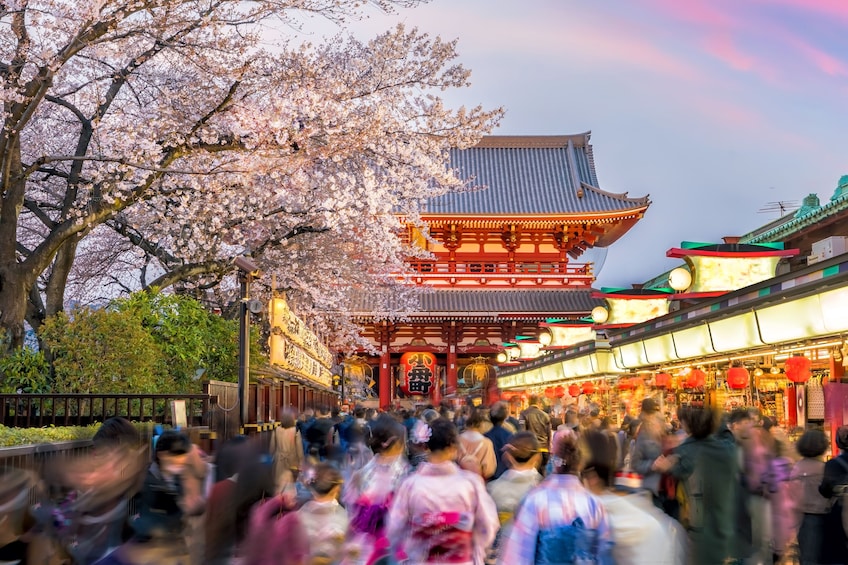 Enjoy 1-Day Bus Tour Around Best Tourist Spots in Tokyo!