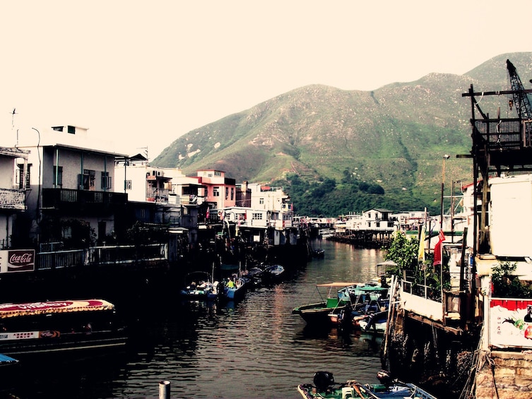 Show item 4 of 5. Lantau Island Crystal Cabin Cable Car Private Tour