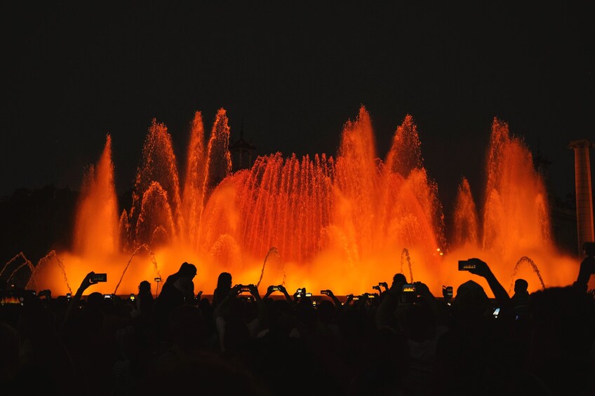 Barcelona by Night Tour