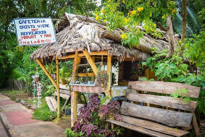 Bayaguana Runners: The Best of the Dominican Countryside