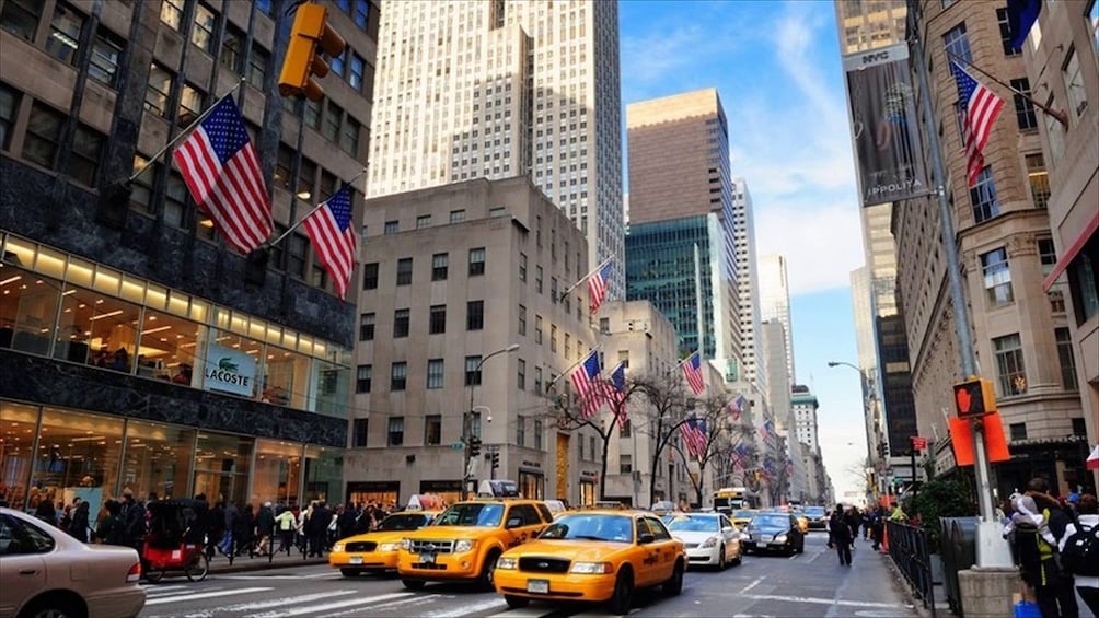 Little Italy & China Town Tour & Visit Central Park Zoo