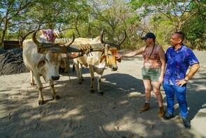 Guanacaste Flavors