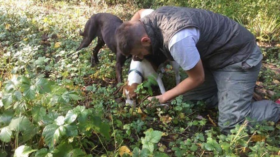 Truffle hunting adventure