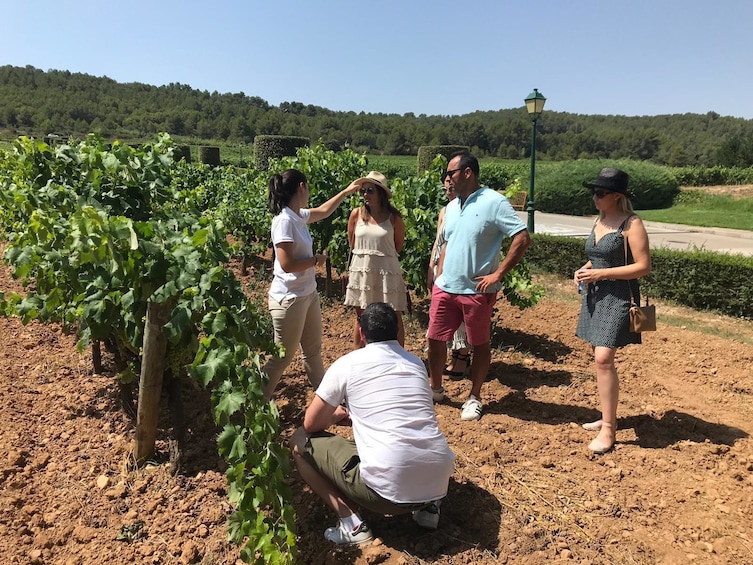 Day Trip From Barcelona to Montserrat & Wine Tasting