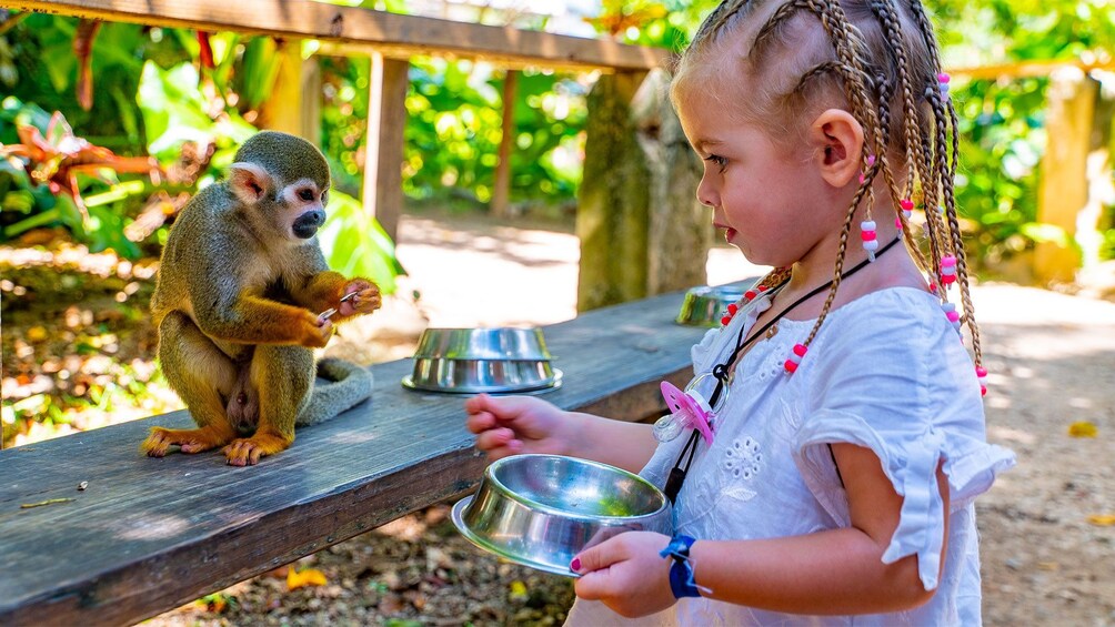 Monkeyland Full-Day from Juan Dolio
