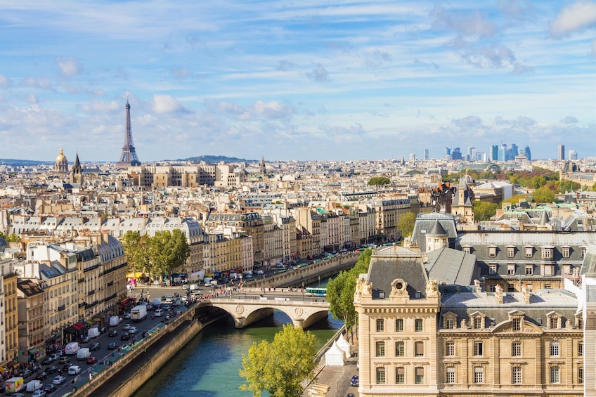 Private Accessible Paris Highlights Driving Tour