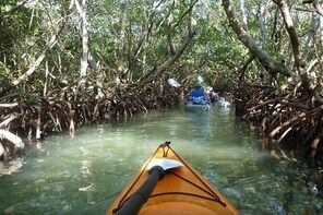 Mangrove Tunnel Kayak Ecotour