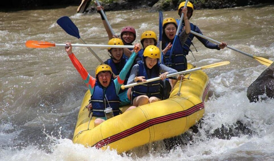 Ubud Instagram Tour: Jungle Swing, Nest Photo Spot, Rafting