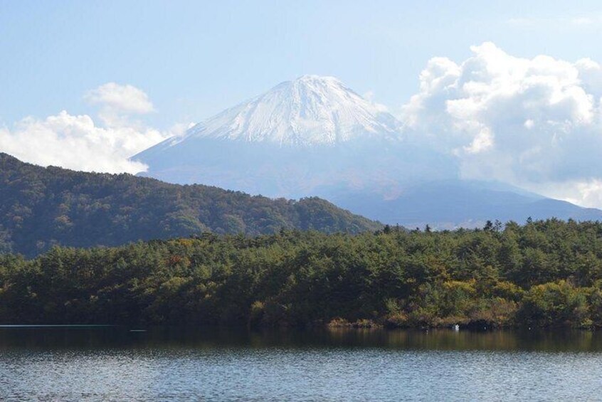 Fuji Kawaguchiko Hakone Private Car Tour