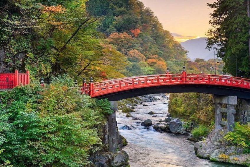 1 day tour to Nikko from Tokyo by chartered car