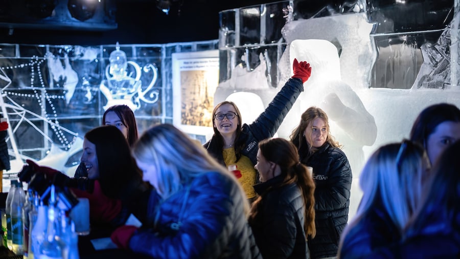 Berlin Icebar Admission Ticket With Inclusive Drinks