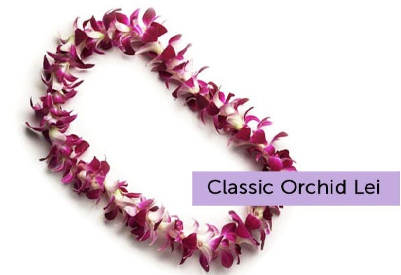 Classic Orchid Lei Greeting at Kona Airport
