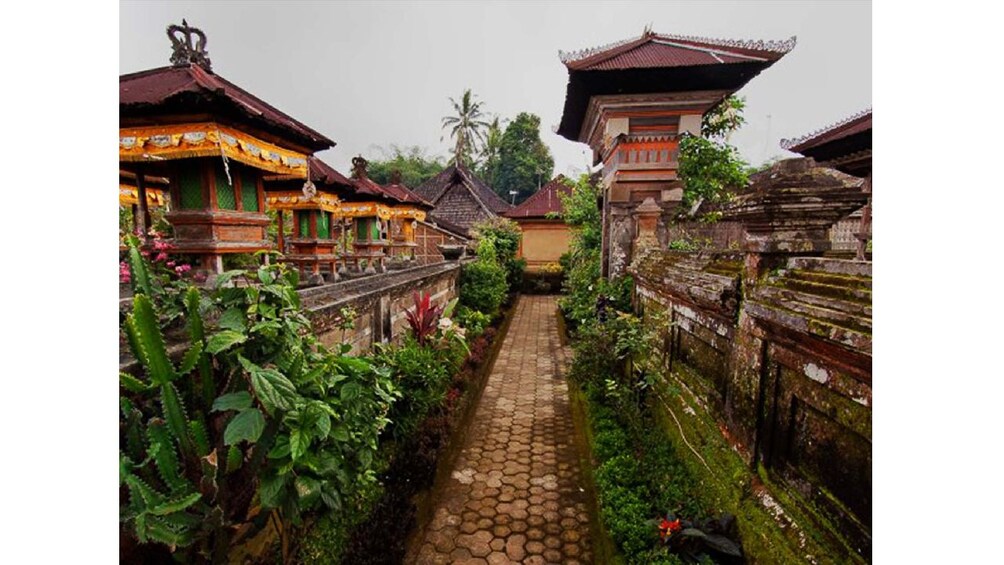 Trunyan and Penglipuran Village Day Tour