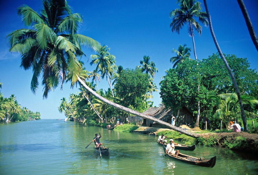 Houseboat Cruise on Alleppey Backwaters with Lunch