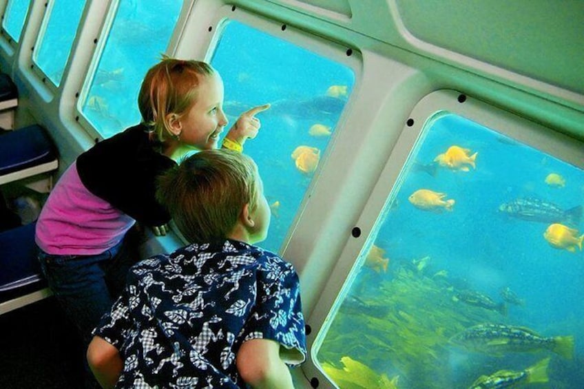Semi Sub takes you underwater to view the abundant ocean life. Always a "wow" with the kids.