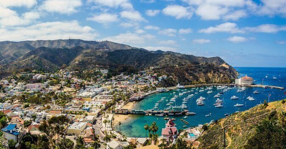 Show item 1 of 7. Catalina Island Day Trip from Los Angeles with Optional Upgrades
