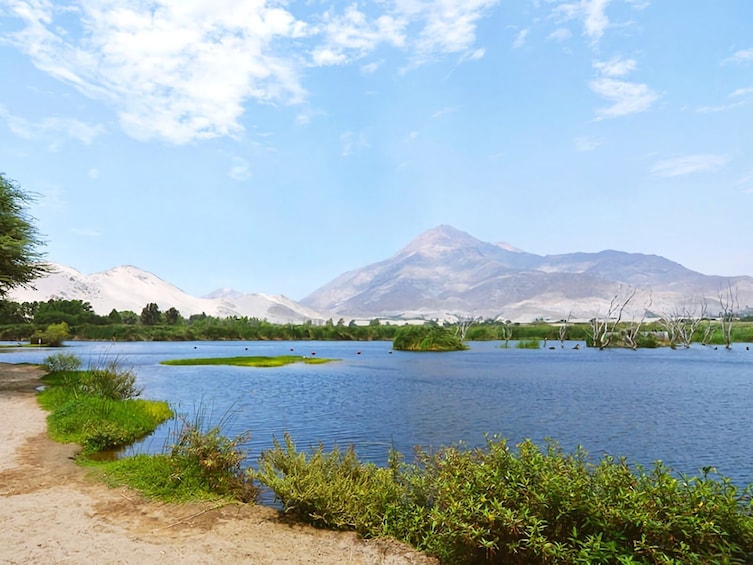 Sandboarding in Conache Lake and Show of Peruvian Paso Horse