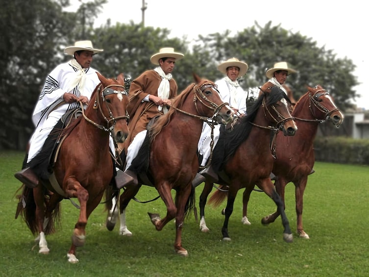 Sandboarding in Conache Lake and Show of Peruvian Paso Horse