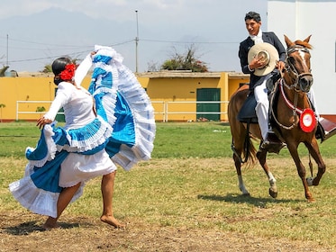 Show: Marinera & Peruvian Paso Horse