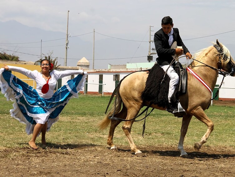 Show: Marinera & Peruvian Paso Horse
