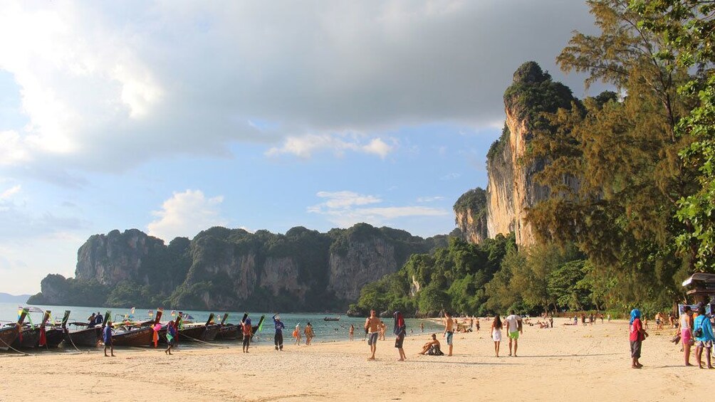 Bio Luminescent Swimming From Krabi