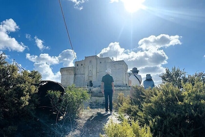 Malta Highlights: Choose Your Island Adventure!